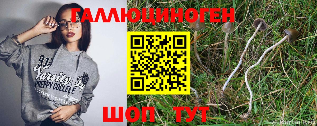 Псилоцибиновые грибы мицелий Сергиев Посад